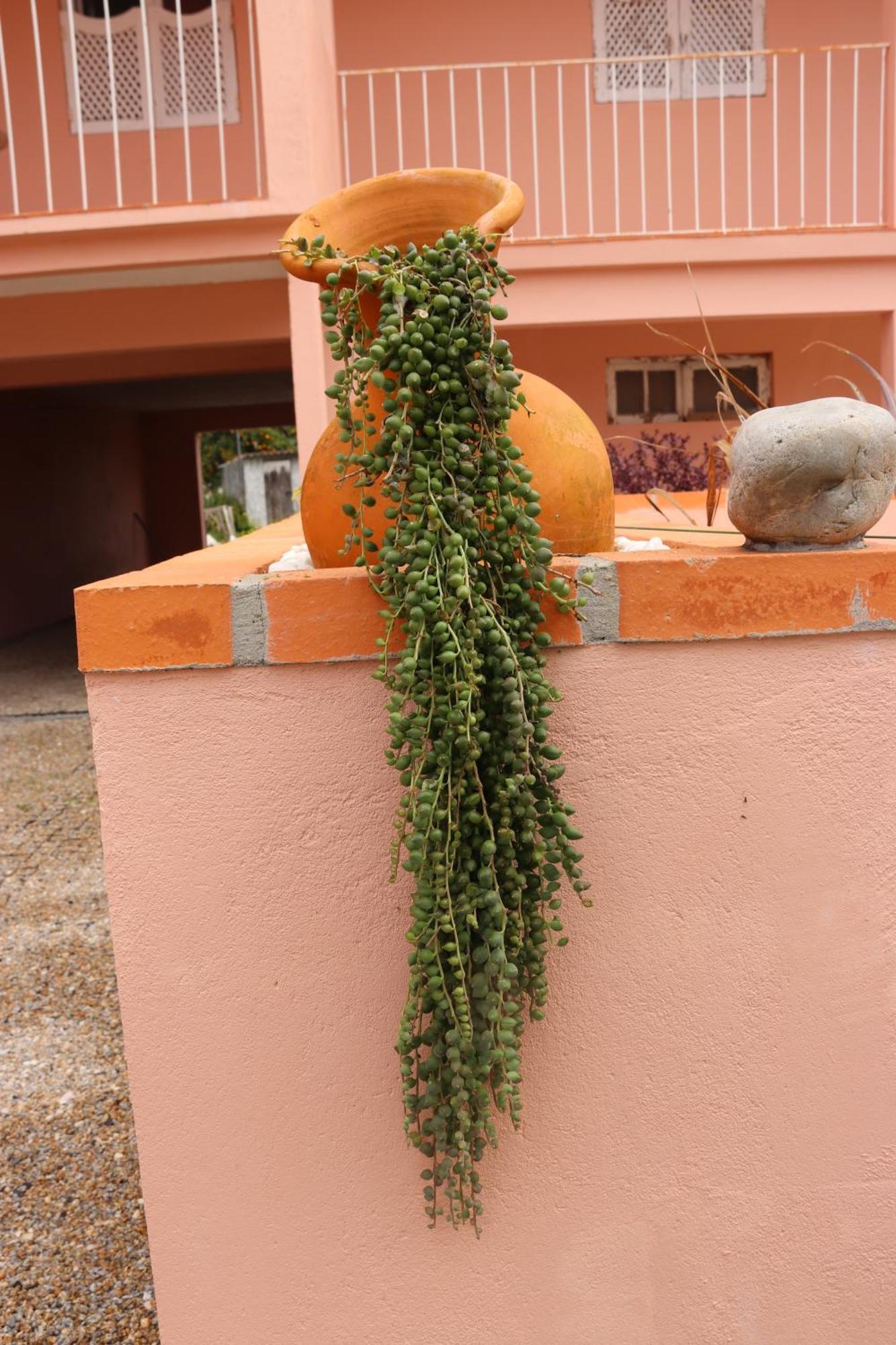 Villa Casa Do Avo Gil Seixo  Exterior foto